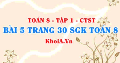 Bài 5 trang 30 SGK Toán 8 Tập 1 Chân trời sáng tạo